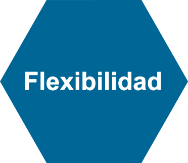 Flexibilidad