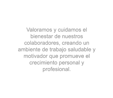 Valoramos y cuidamos el bienestar de nuestros colaboradores, creando un ambiente de trabajo saludable y motivador que promueve el crecimiento personal y profesional.